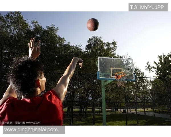 篮球运动员投篮热区变化规律与个性化训练策略研究 篮球运动员投篮热区变化规律与个性化训练策略研究