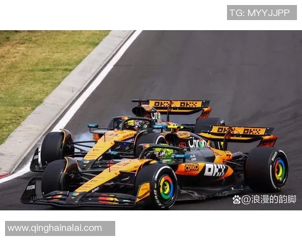 F1赛车燃料策略对比赛成绩发挥与最终名次走势的综合影响研究 F1赛车燃料策略对比赛成绩发挥与最终名次走势的综合影响研究