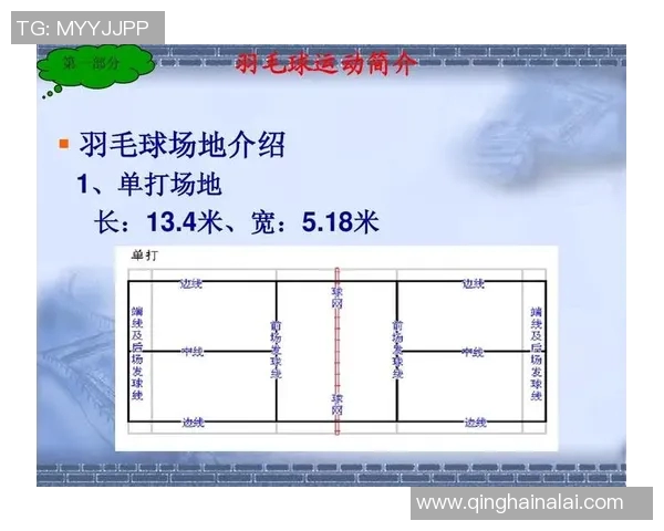 羽毛球赛事裁判规则更新及影响评估