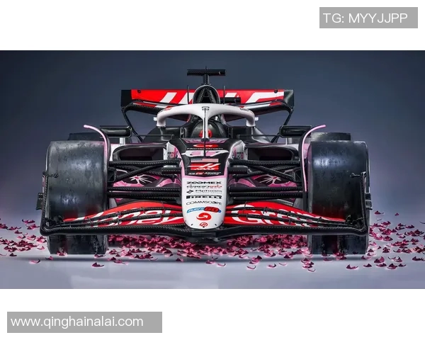 F1赛季技术规则变动对车队竞争格局与适应策略的深度解析 F1赛季技术规则变动对车队竞争格局与适应策略的深度解析